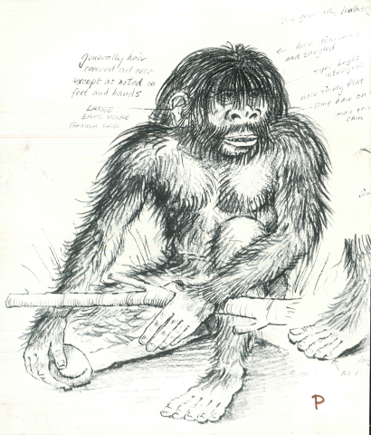 A design for a Bigfoot for the unmade film The Footage.